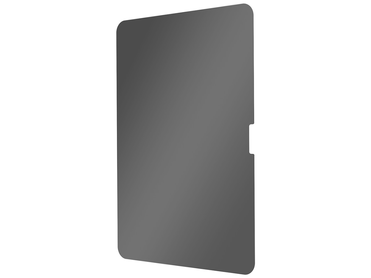 Just in Case iPad Pro 11 (M4) Privacy Screen Protector Tempered Glass